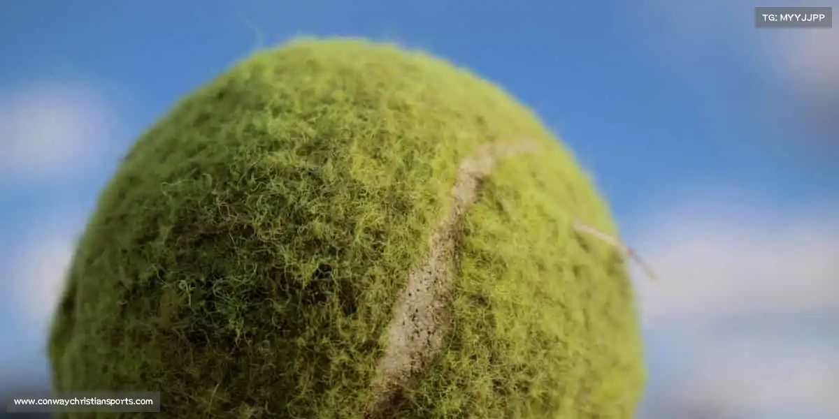 鲸体育——🌟坚持热爱,超越自我!🏇